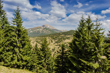 Fototapeta premium Mount Hoverla