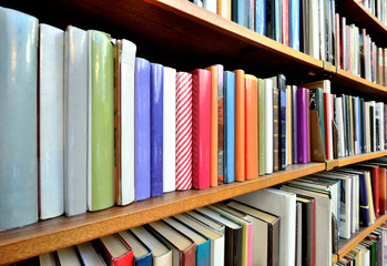 Bookshelf in public library