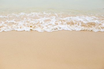 beach and tropical sea