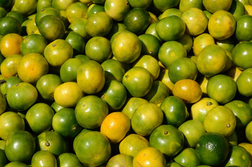 Green mandarin at fruit market