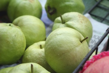 Guava fruit at the market
