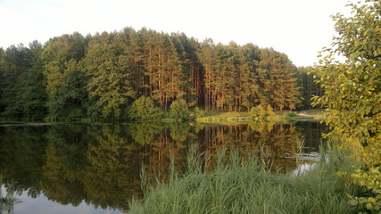 Лесное озеро © pupulica