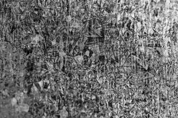 Metal textured background