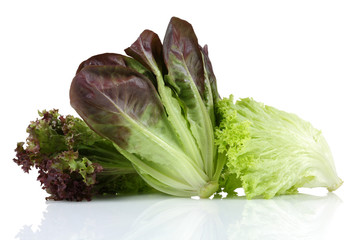 Lettuce