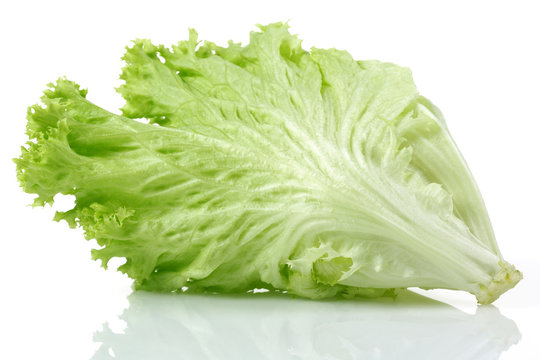 Lettuce