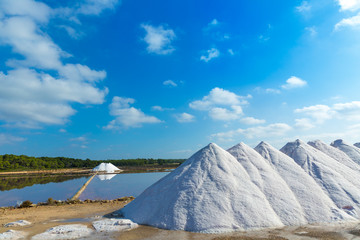 Mallorca Ses Salines Es Trenc Estrenc saltworks