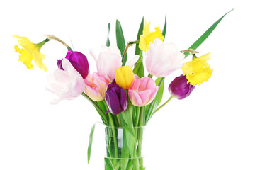 Beautiful spring flowers isolated on white