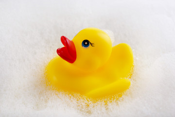 Rubber duck in foam close-up