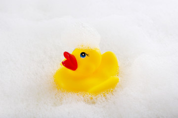 Rubber duck in foam close-up