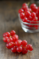 Red currants