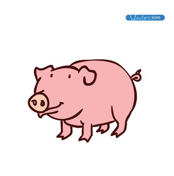 pig, vector illustration