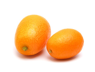 kumquat