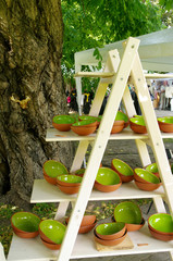 green clay pottery plates at the fair of artisans in Riga