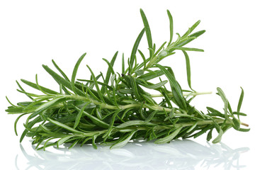 Rosemary