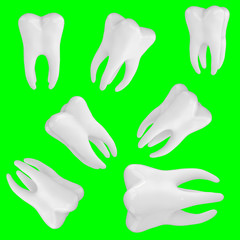 Set of fresh healthy teeth on a green background