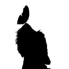 Vector silhouette of a dog.