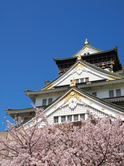 Fototapeta premium 桜と大阪城