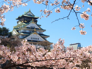 Fototapeta premium Zamek w Osace wiosną