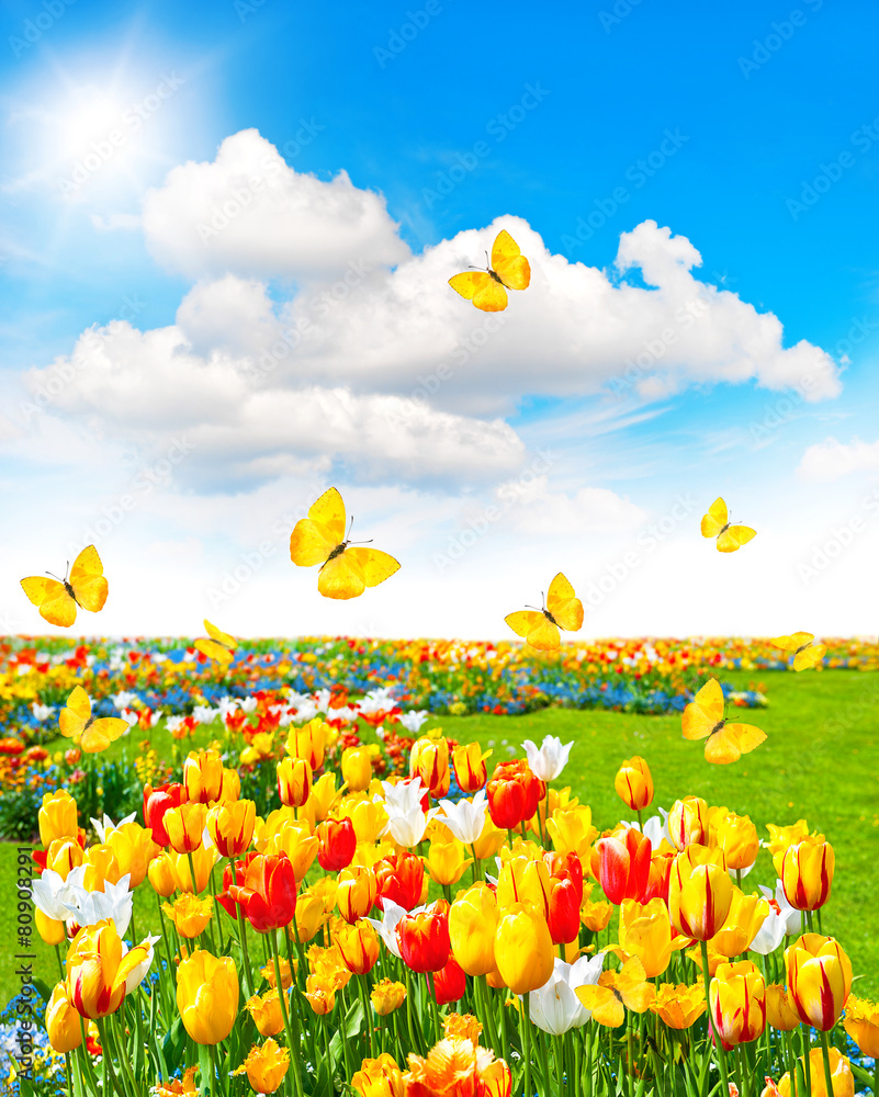 Poster Spring time landscape with butterflies and sunny blue sky