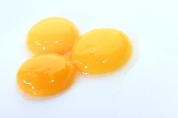 egg yolks