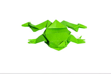 Green origami frog isolated on white