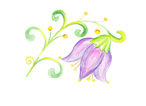 Flower bluebell drawing on paper