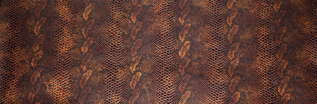 Pelle texture
