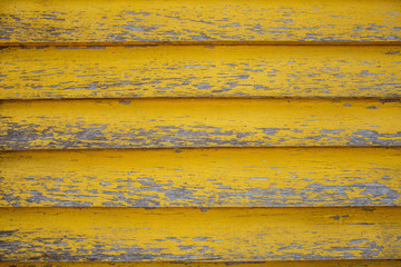 Yellow wood texture