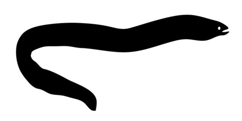 Aal Silhouette