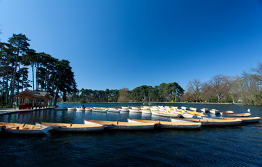 Fototapeta na wymiar boats with oars on blue water in park at springtime