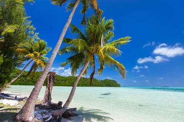 Deurstickers Beautiful tropical beach at exotic island in Pacific © BlueOrange Studio
