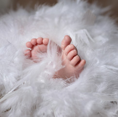 Piedi di neonato