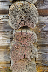 Background texture of old wood.