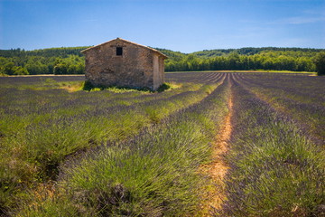 Provence