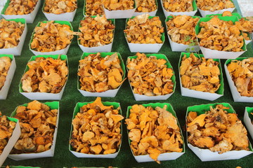 barquettes de champignons