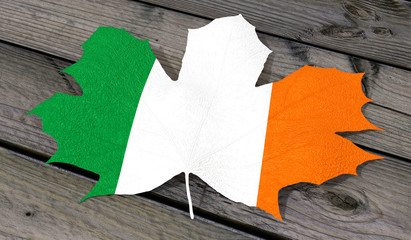 Foglia colore Irlanda