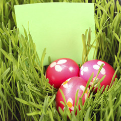Easter Eggs in Grass