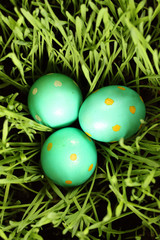 Easter Eggs in Grass