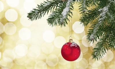 Obraz na płótnie Canvas Christmas Ornament. Christmas Ball Series (isolated on a white