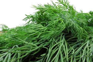 Volume beam sprigs of dill