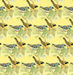 Drawing of beautiful bright birds and flowers seamless pattern