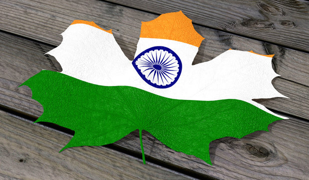 Foglia colore India