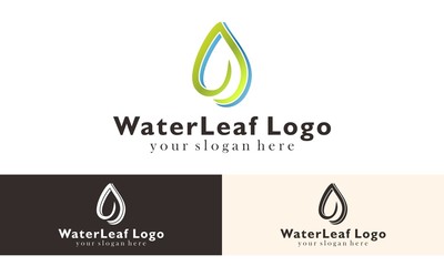 Water Leaf Logo Vector