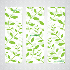 Colorful Vertical Set Of Floral Banners . Modern Vector