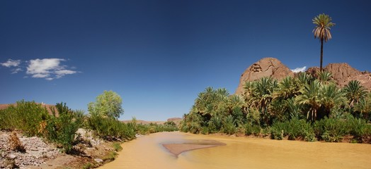 Oasis de Fint, Ouarzazate, Maroc