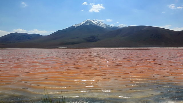 Bolivian altiplano landscape with coast of Laguna Colorada