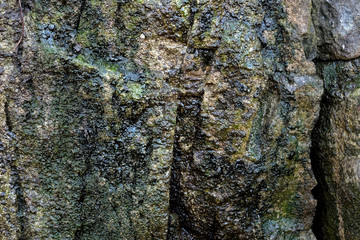 Текстура - мокрый камень