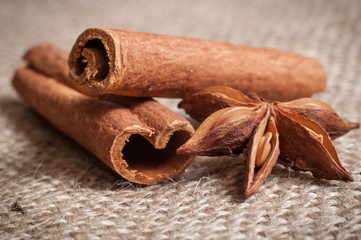 Cinnamon and star anise