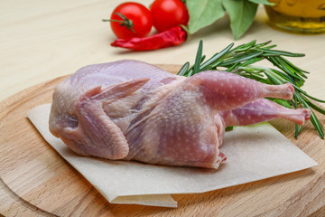 Raw quail ready for cooking