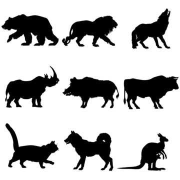Domestic and wild animals clipart